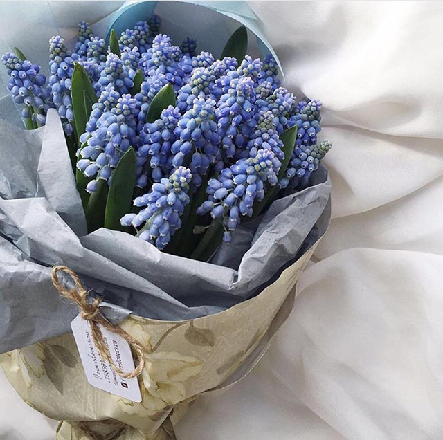 淡绿风信子代表了如果你想没有秘密,必先拥有善良的心.