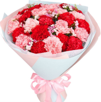 母亲节可以送粉色康乃馨吗