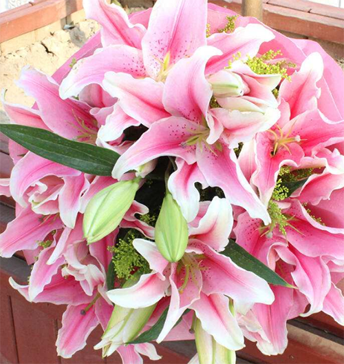 香水百合花语是什么 香水百合花适合送给谁 花多彩鲜花网