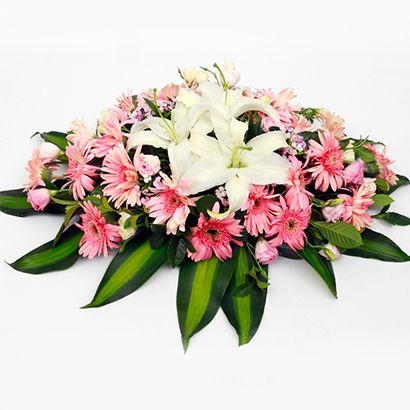 青云直上一个讲台花